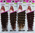 Brazilian Salsa Braid Sleek Fashion Idol Express Ombre Colours